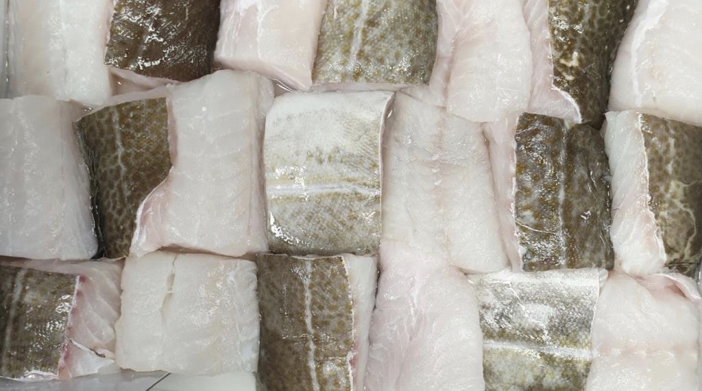 Cod Portion Skin-on Hand Cut 140-170g – Hodgson Fish